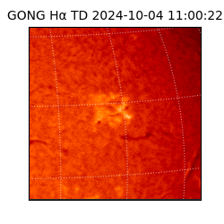 gong - 2024-10-04T11:00:22