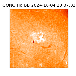 gong - 2024-10-04T20:07:02