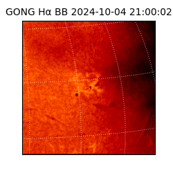 gong - 2024-10-04T21:00:02