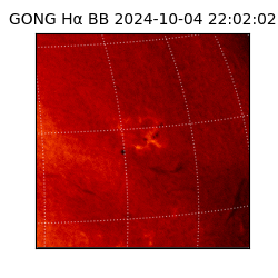 gong - 2024-10-04T22:02:02