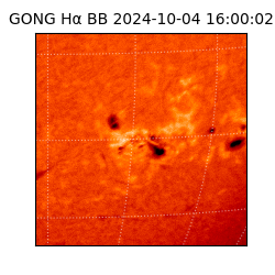 gong - 2024-10-04T16:00:02