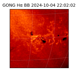 gong - 2024-10-04T22:02:02
