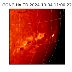 gong - 2024-10-04T11:00:22