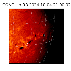 gong - 2024-10-04T21:00:02