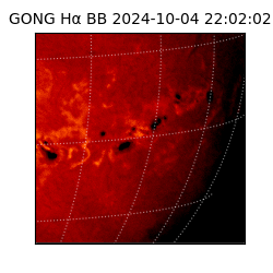 gong - 2024-10-04T22:02:02