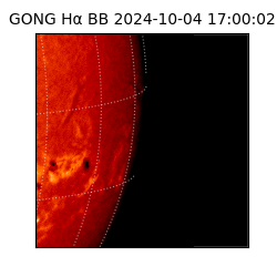 gong - 2024-10-04T17:00:02