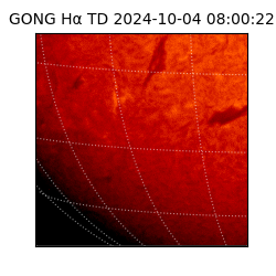 gong - 2024-10-04T08:00:22