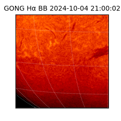 gong - 2024-10-04T21:00:02