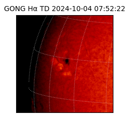 gong - 2024-10-04T07:52:22