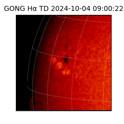 gong - 2024-10-04T09:00:22