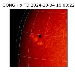 gong - 2024-10-04T10:00:22