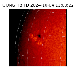 gong - 2024-10-04T11:00:22