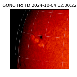 gong - 2024-10-04T12:00:22