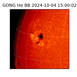 gong - 2024-10-04T15:00:02