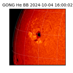 gong - 2024-10-04T16:00:02