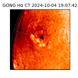 gong - 2024-10-04T19:07:42