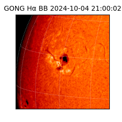 gong - 2024-10-04T21:00:02