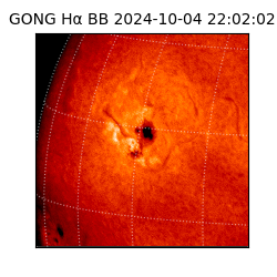 gong - 2024-10-04T22:02:02