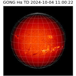 gong - 2024-10-04T11:00:22