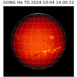 gong - 2024-10-04T14:00:22