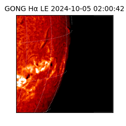 gong - 2024-10-05T02:00:42