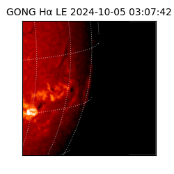 gong - 2024-10-05T03:07:42