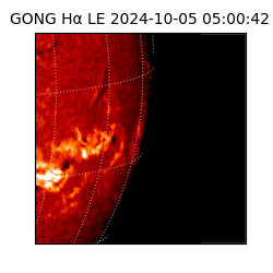 gong - 2024-10-05T05:00:42