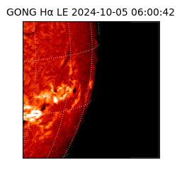 gong - 2024-10-05T06:00:42