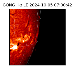 gong - 2024-10-05T07:00:42