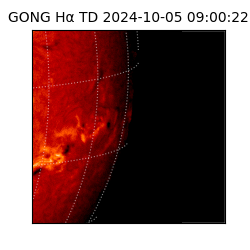 gong - 2024-10-05T09:00:22