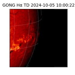 gong - 2024-10-05T10:00:22