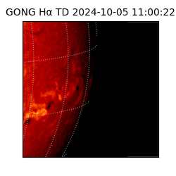 gong - 2024-10-05T11:00:22