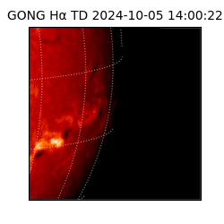 gong - 2024-10-05T14:00:22