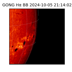 gong - 2024-10-05T21:14:02