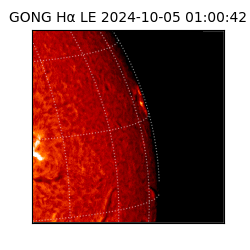 gong - 2024-10-05T01:00:42