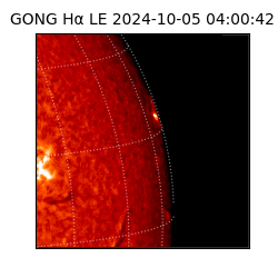 gong - 2024-10-05T04:00:42