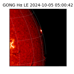 gong - 2024-10-05T05:00:42