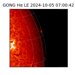 gong - 2024-10-05T07:00:42