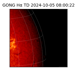 gong - 2024-10-05T08:00:22