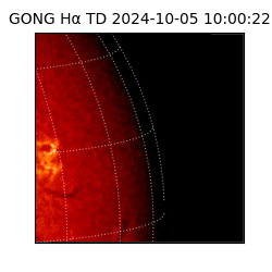 gong - 2024-10-05T10:00:22