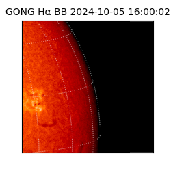 gong - 2024-10-05T16:00:02