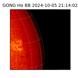 gong - 2024-10-05T21:14:02