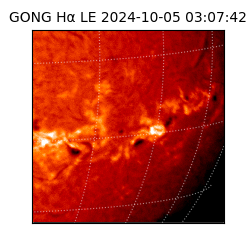 gong - 2024-10-05T03:07:42