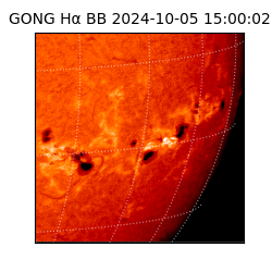 gong - 2024-10-05T15:00:02