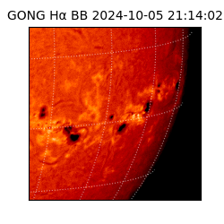 gong - 2024-10-05T21:14:02