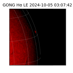 gong - 2024-10-05T03:07:42