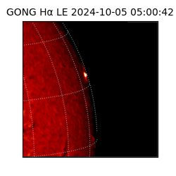 gong - 2024-10-05T05:00:42