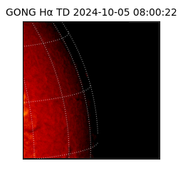 gong - 2024-10-05T08:00:22