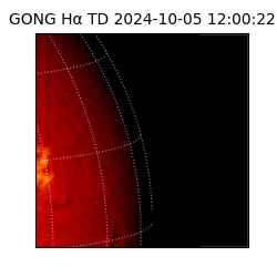 gong - 2024-10-05T12:00:22