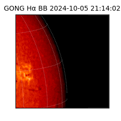 gong - 2024-10-05T21:14:02